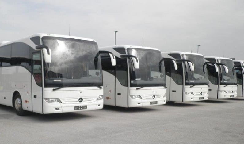 Tuscany: Bus company in Siena in Siena and Italy