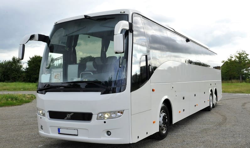 Tuscany: Buses agency in Grosseto in Grosseto and Italy