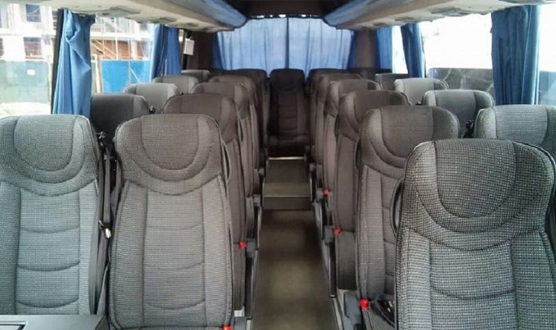 Italy: Coach hire in Tuscany in Tuscany and Arezzo