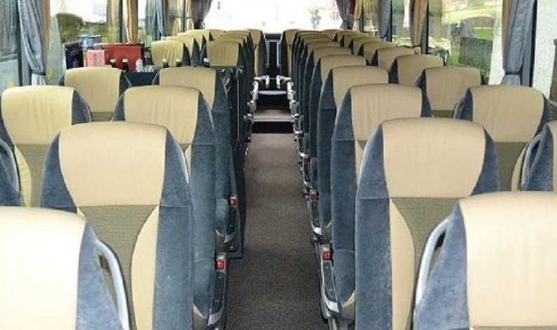 Italy: Coach operator in Italy in Italy and Lazio