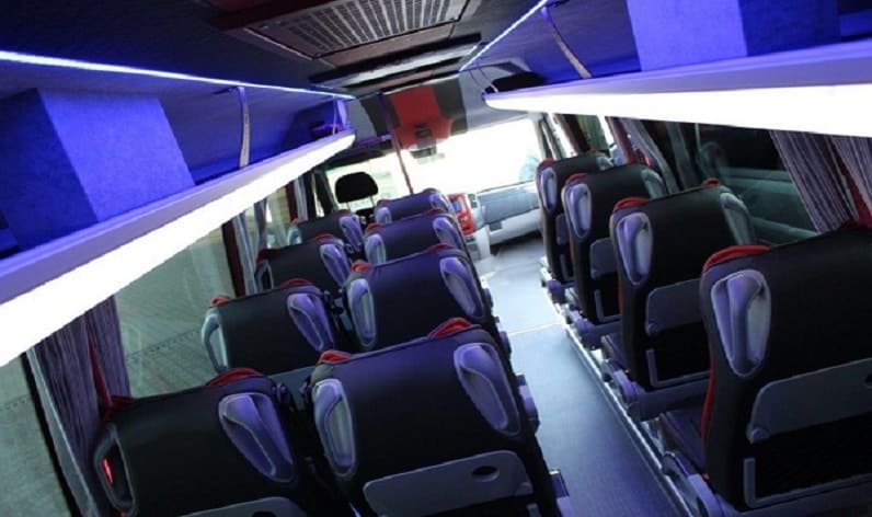 Italy: Coach rent in Tuscany in Tuscany and Pisa
